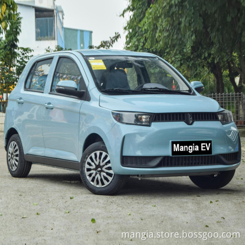 New energy vehicles 5 doors 4 seats left turn new cars to be sold in 2022 high-quality rechargeable Chinese electric car